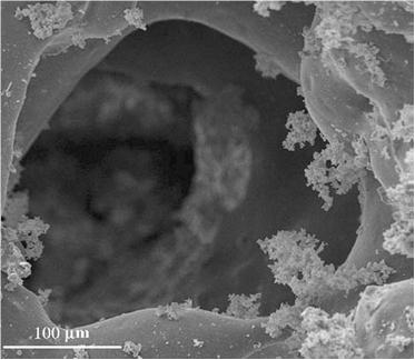 分子篩在制備納米材料中的應用